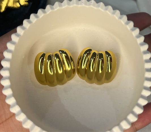 Bold & Sleek Stainless Steel Earrings🥰